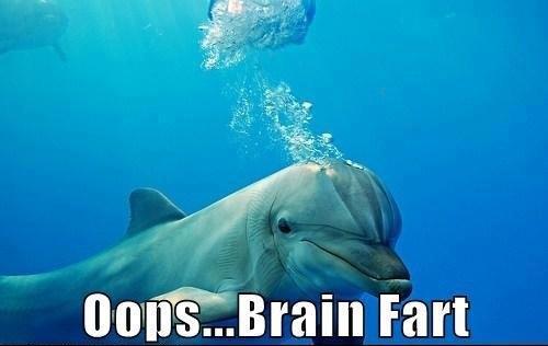 Oops Brain Fart Dolphin