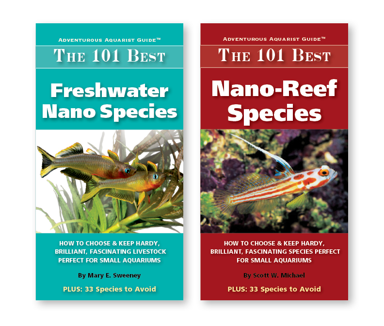 Two 101 NANO Books