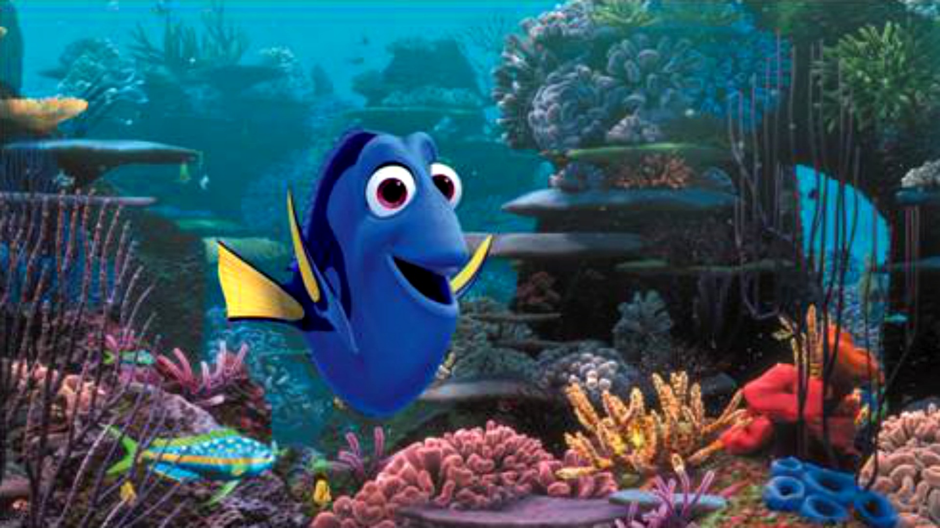 Finding Dory