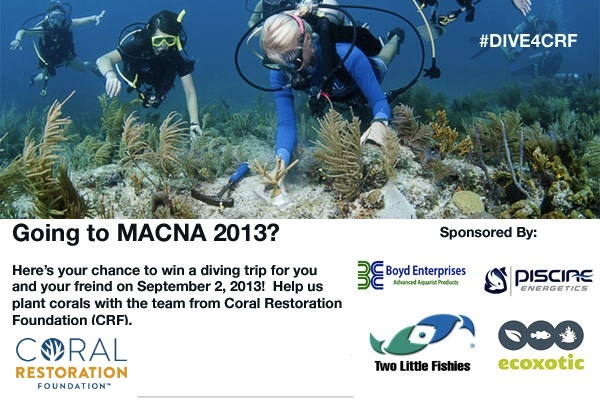 MACNA 2013 CRF Dive