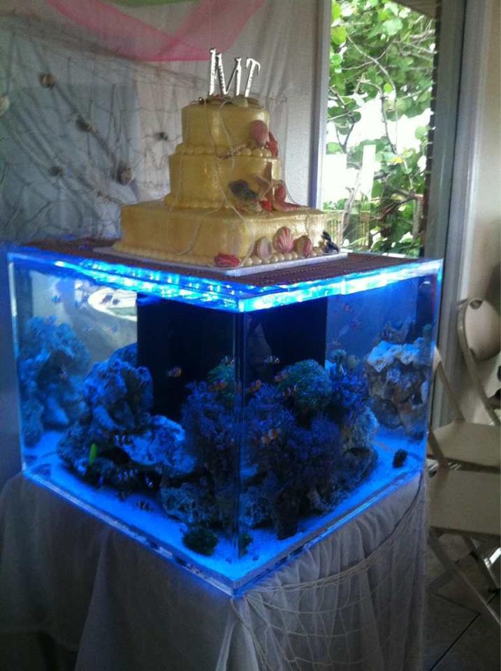 aquarium wedding cake