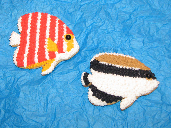 Jason Langer Peppermint and Bandit Angelfish