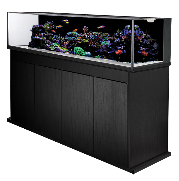 All in shop one marine tank