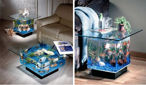 Yahoo Modern Aquariums