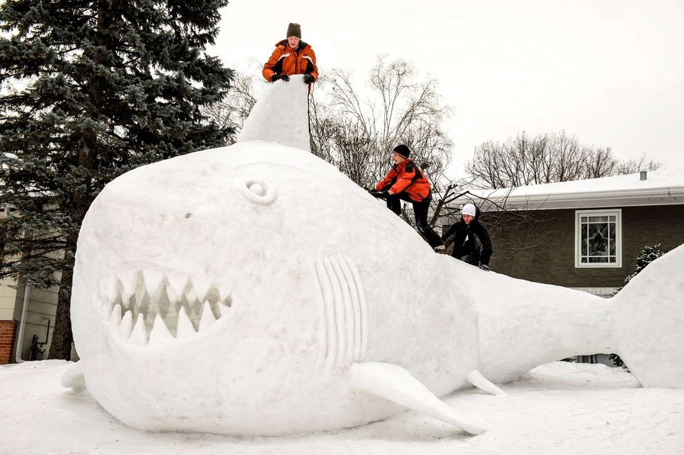 Shark Made from Snow