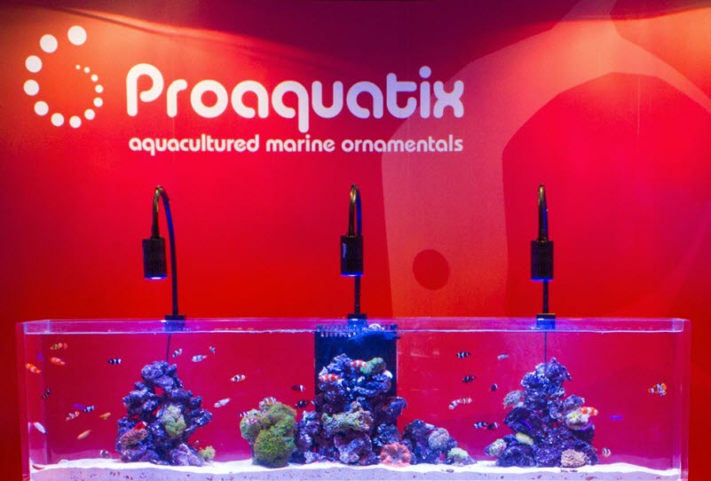 Proaquatix