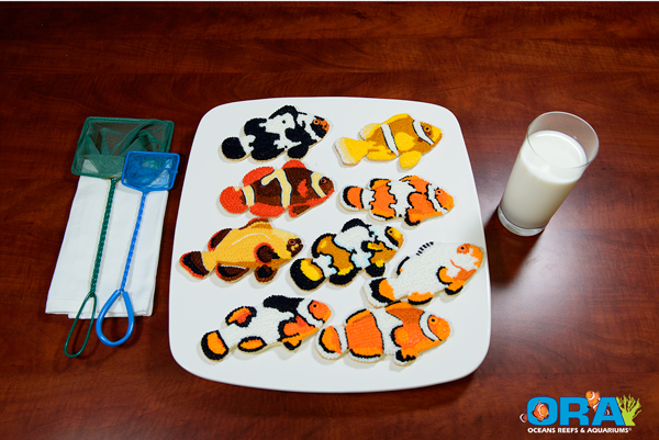 ORA Clownfish Cookies