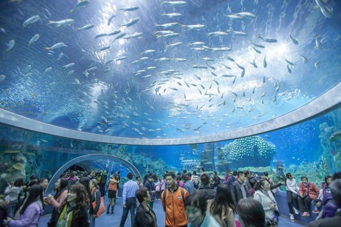 largest-aquarium-in-the-world-opens-in-china-aquanerd