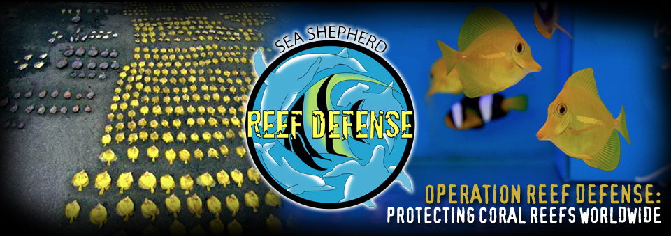 Sea Shepherd Operation Reef Defense