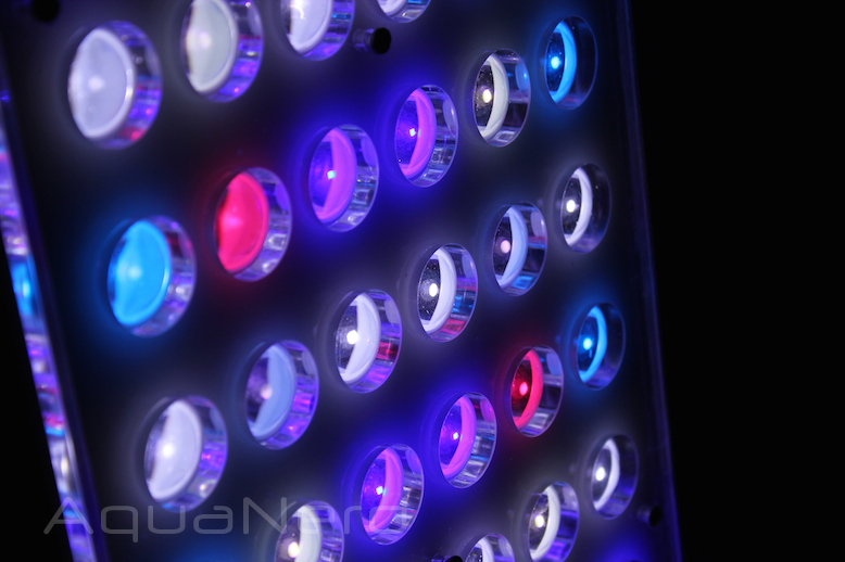 Orphek Atlantik Compact LED Colors