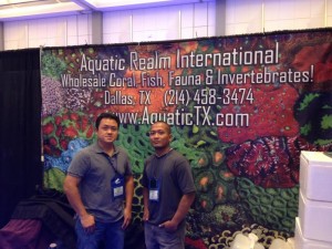 Aquatic Realm International