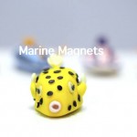 Cowfish Marine Magnets