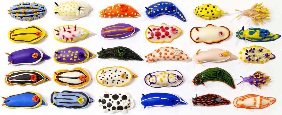 Marine Magnets Nudibranch Collection
