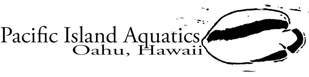 Pacific Island Aquatics Logo