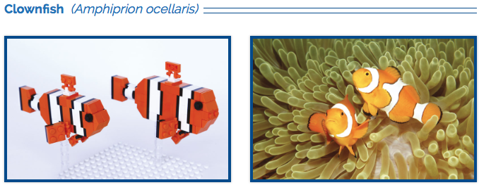 lego clown fish