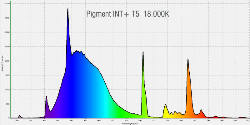 Pacific Sun Pigment INT T5