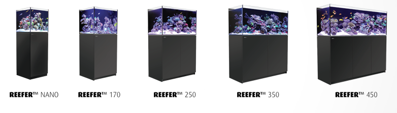 Red Sea Announces Reefer Series Of Rimless Aquarium Systems Aquanerd