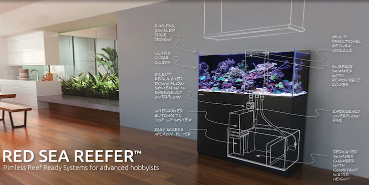 Red Sea Announces Reefer Series Of Rimless Aquarium Systems Aquanerd