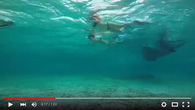 Belize Dive Trip Video 1