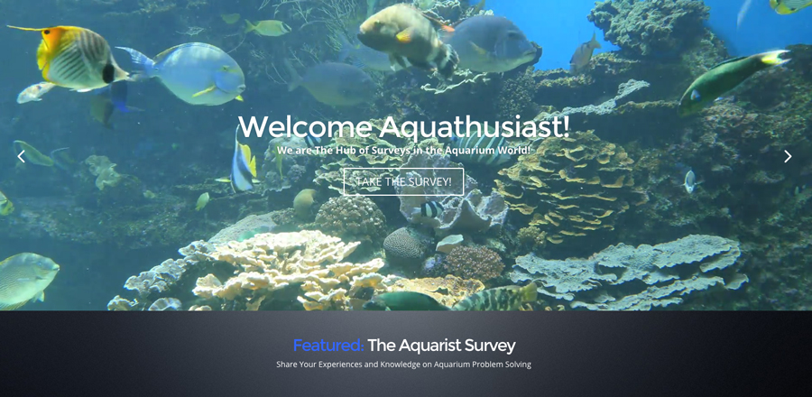 Aquarium-Survey