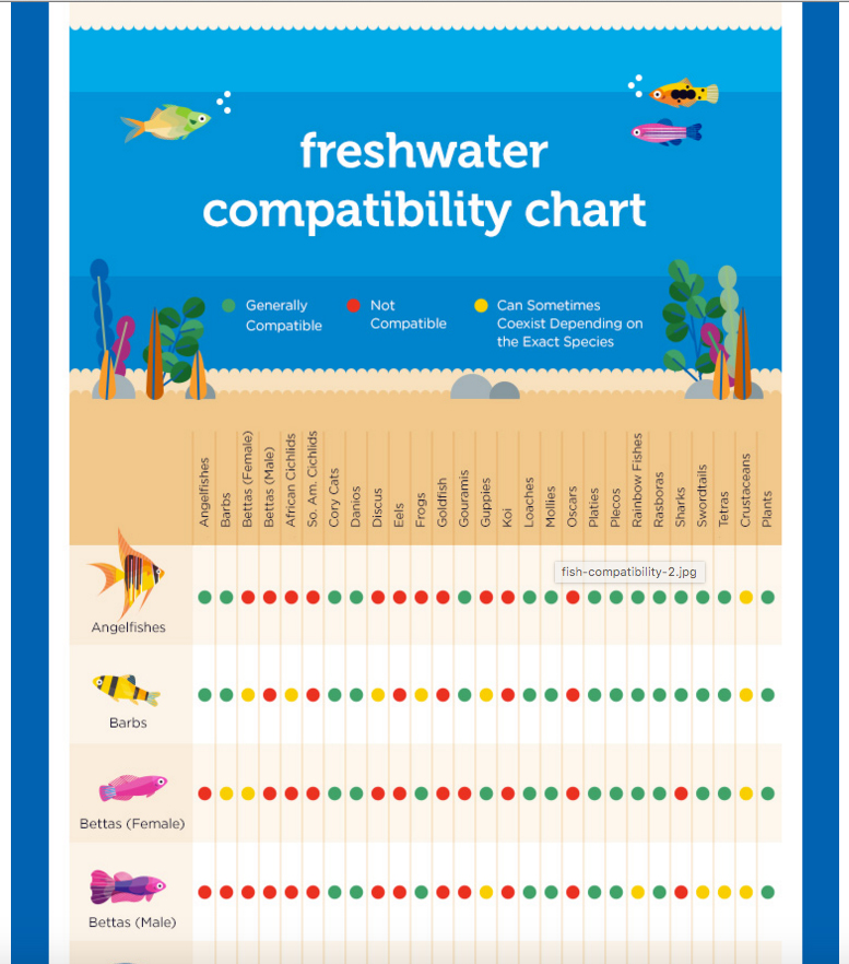 Petco Introduces a Freshwater Compatibility Chart | AquaNerd