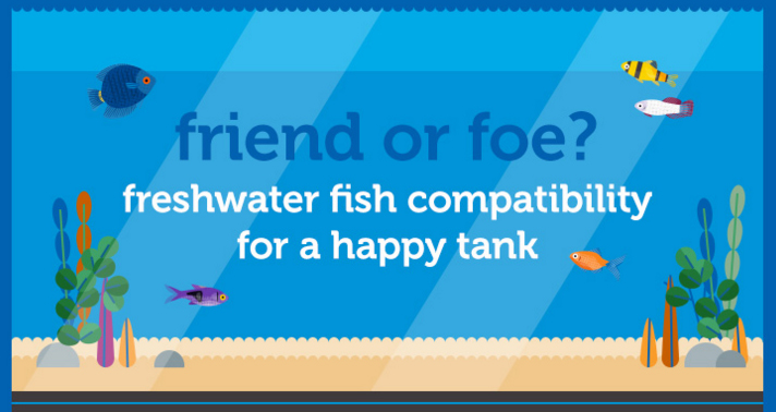 Freshwater Fish Compatibility Chart