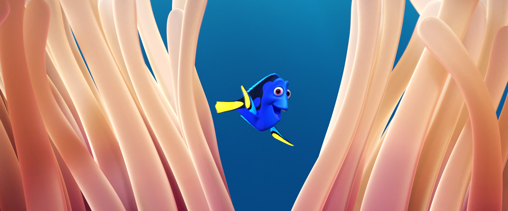 flex_tablet_findingdory_anemone_aaf61780