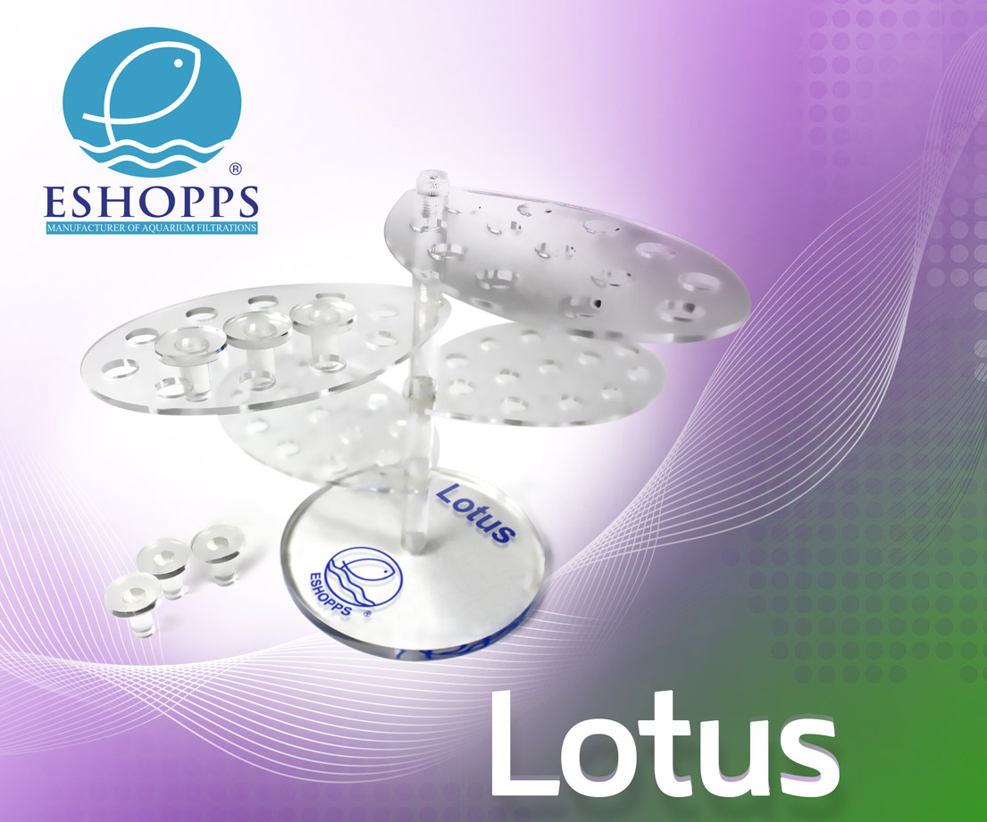 lotus_flyer