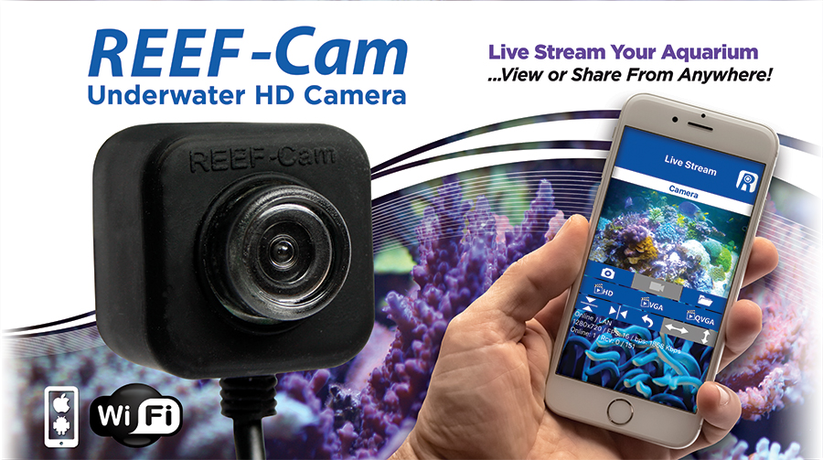 underwater camera aquarium