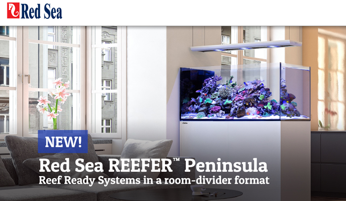 Landsdækkende anden junk The New Reefer Peninsula Series Aquarium from Red Sea | AquaNerd