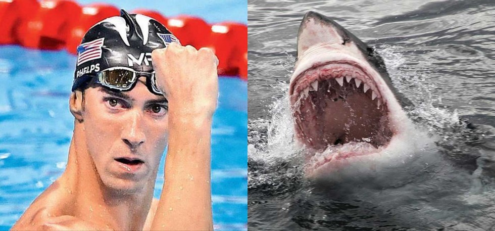 michael-phelps-competes-against-great-white-shark-says-it-was-his-toughest-foe-ever1400a-1500647275_980x457