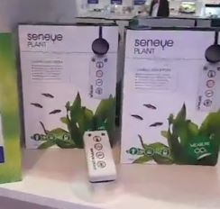 Seneye plant