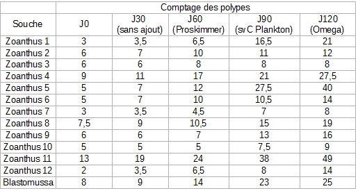 tableau-polyps