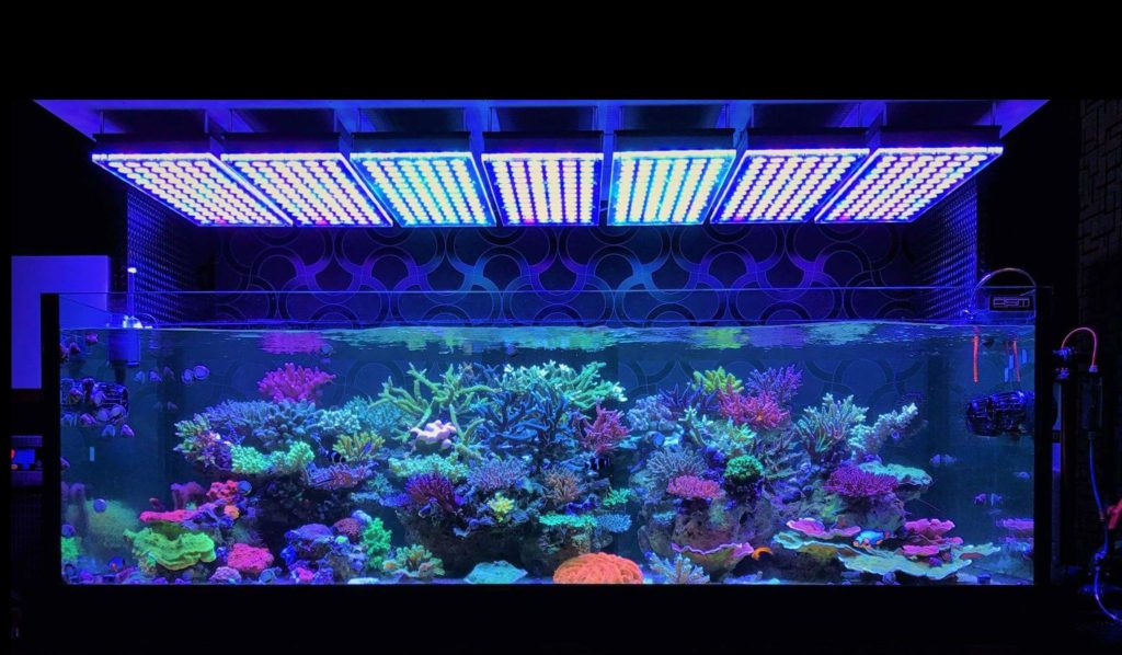 Aquarium-LED-light-Orphek-Atlantik-V4-reef