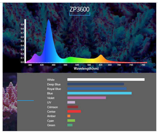 Zetlight-Color-Spectrum