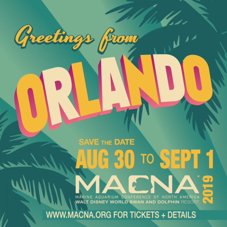 orlando-macna-770x770