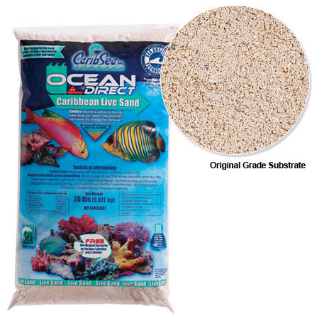 live sand for marine aquarium