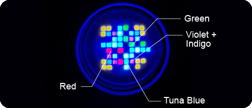 Kessil A150we Amazon Sun And 360we Tuna Sun Announced This Weekend Reef Builders The Reef And Saltwater Aquarium Blog