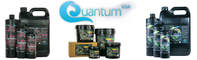 quantum-banner-blog-aquanerd