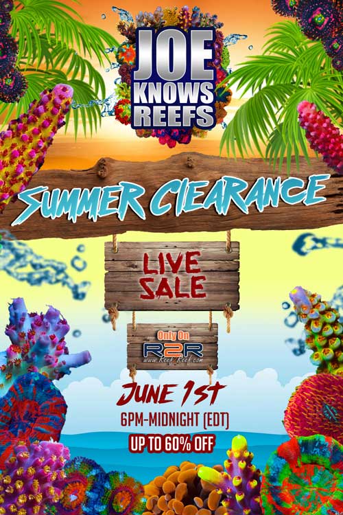 Joe Knows Reefs Summer Clearance Sale June 1st AquaNerd